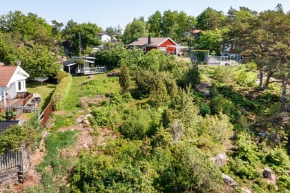 Bild av trädgården