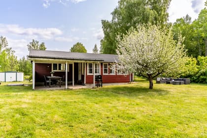 Bild av trädgården