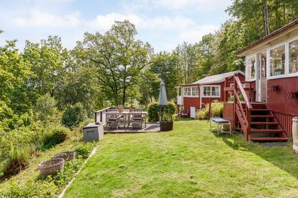 Bild av trädgården