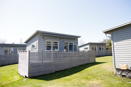 Bild av trädgården