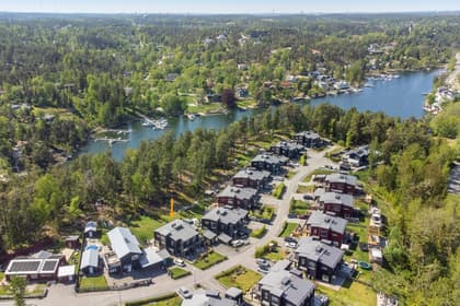 Bild av trädgården