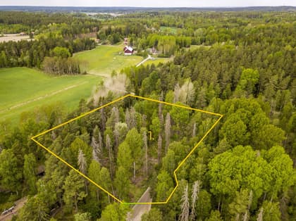 Bild av trädgården