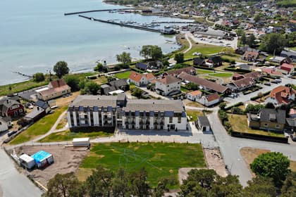 Bild av trädgården