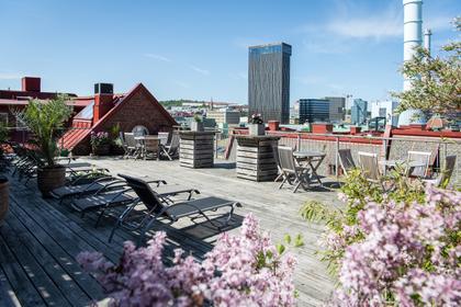 Bild av trädgården