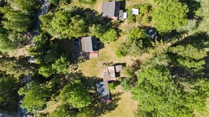 Bild av trädgården