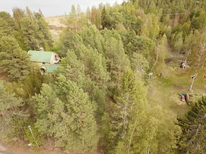 Bild av trädgården