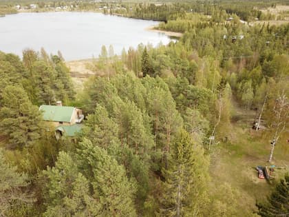 Bild av trädgården