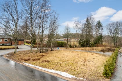 Bild av trädgården