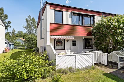 Bild av trädgården