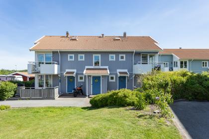 Bild av trädgården