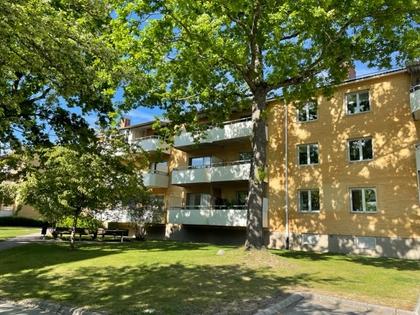 Bild av trädgården
