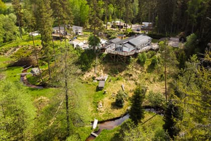 Bild av trädgården