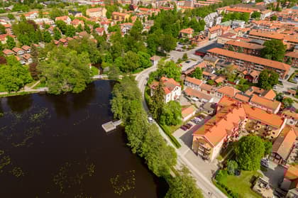 Bild av trädgården