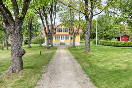 Bild av trädgården