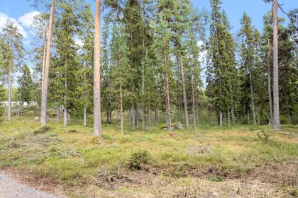 Bild av trädgården