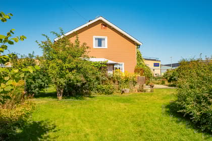 Bild av trädgården