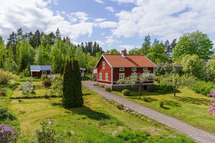 Bild av trädgården