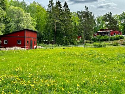 Bild av trädgården
