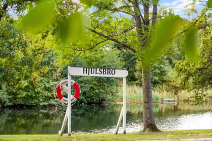 Bild av trädgården