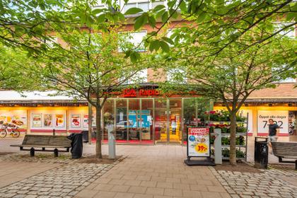 Bild av trädgården