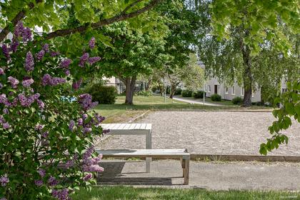 Bild av trädgården