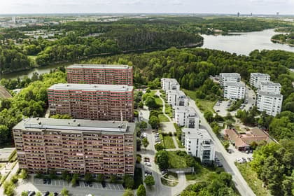 Bild av trädgården