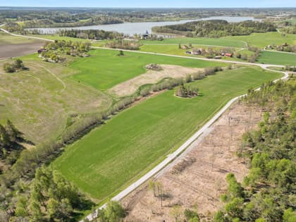 Bild av trädgården