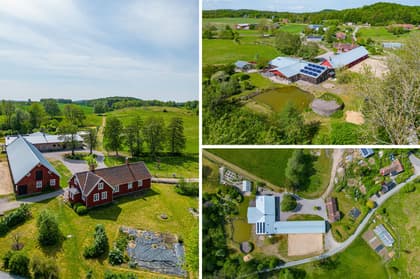 Bild av trädgården