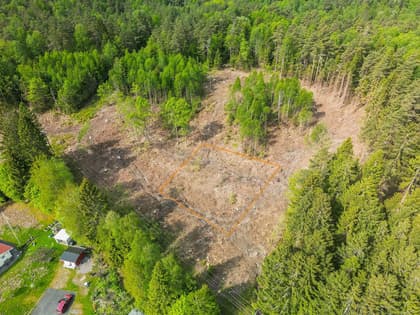 Bild av trädgården