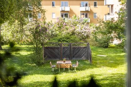 Bild av trädgården