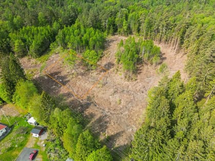 Bild av trädgården