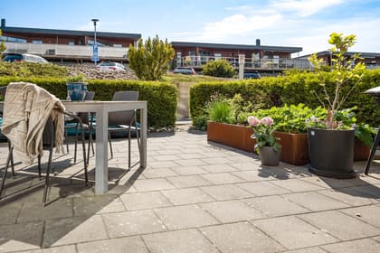 Bild av trädgården