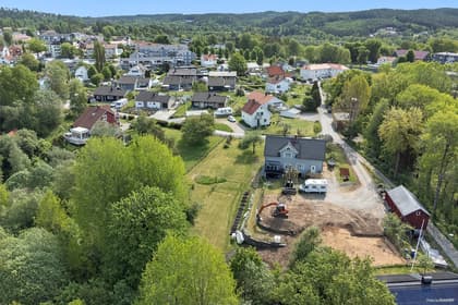 Bild av trädgården