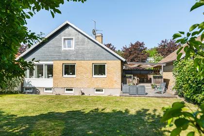 Bild av trädgården