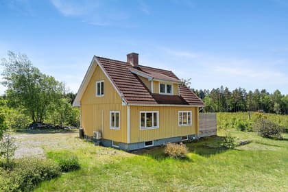 Bild av trädgården