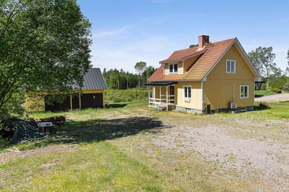 Bild av trädgården