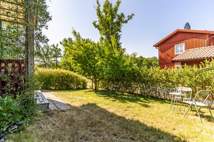 Bild av trädgården