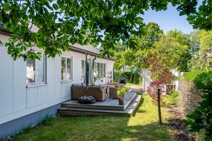 Bild av trädgården