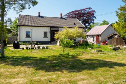 Bild av trädgården