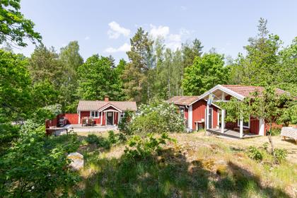 Bild av trädgården