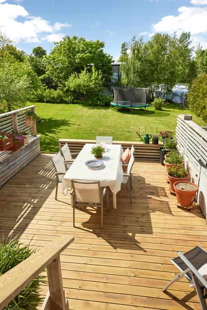 Bild av trädgården