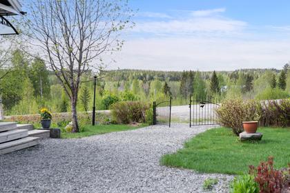 Bild av trädgården