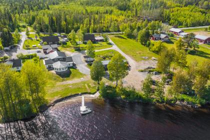 Bild av trädgården