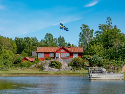 Bild av trädgården