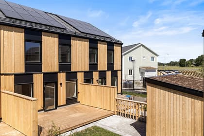 Bild av trädgården