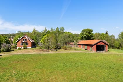 Bild av trädgården