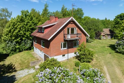 Bild av trädgården