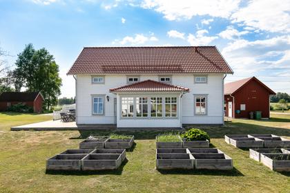 Bild av trädgården