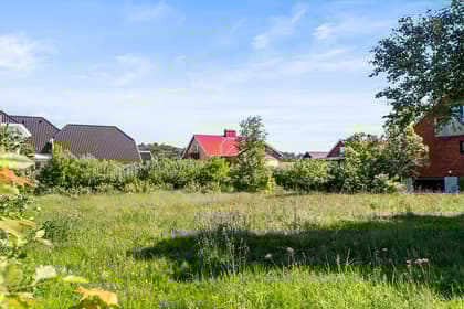 Bild av trädgården