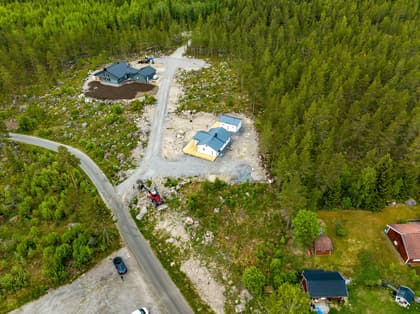 Bild av trädgården